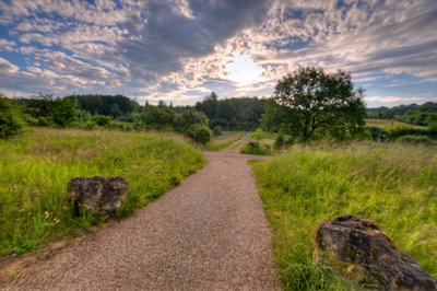 Alone for the sunrise_4711653293_l.jpg